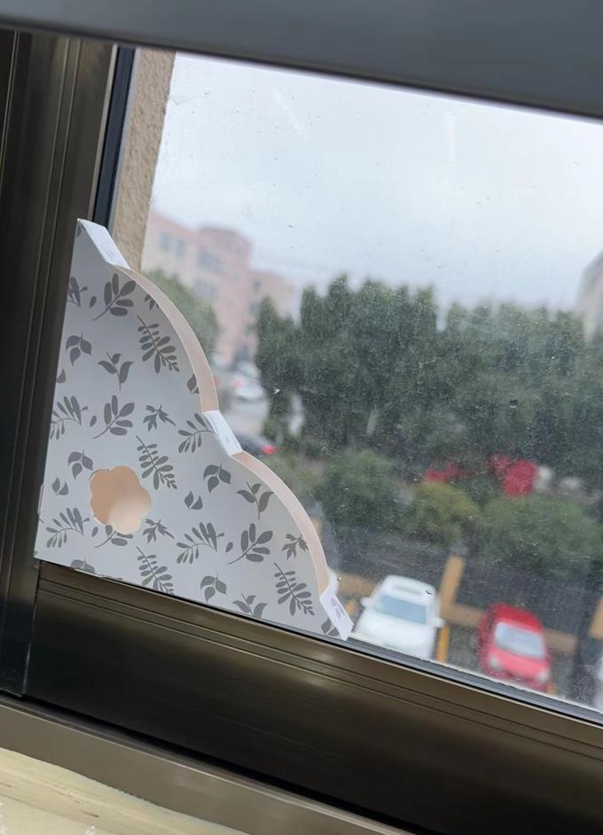 Προσαρμοσμένο χρώμα Περιβαλλοντικά φιλική κόλλα χαρτιού Παγίδα μύγα Παγίδα εντόμων για την απόδοση 6